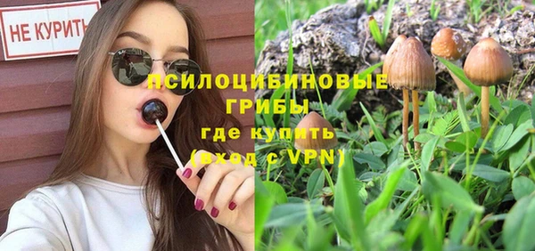 эйфоретик Гусь-Хрустальный