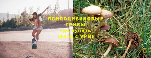 молекула духа Гусиноозёрск
