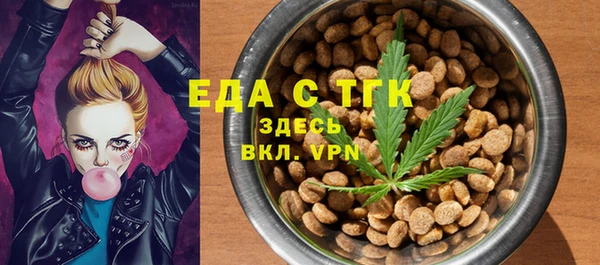 эйфоретик Гусь-Хрустальный