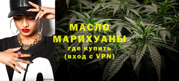 эйфоретик Гусь-Хрустальный