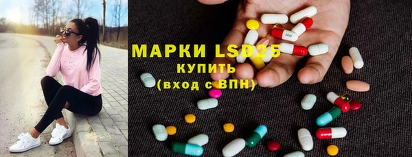 эйфоретик Гусь-Хрустальный