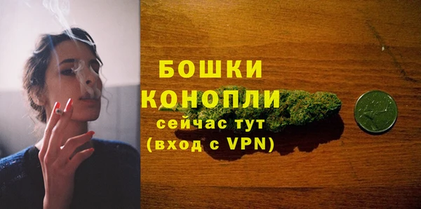 эйфоретик Гусь-Хрустальный