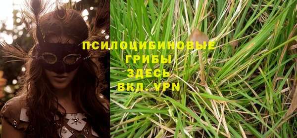 молекула духа Гусиноозёрск