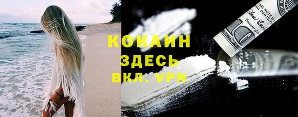 эйфоретик Гусь-Хрустальный